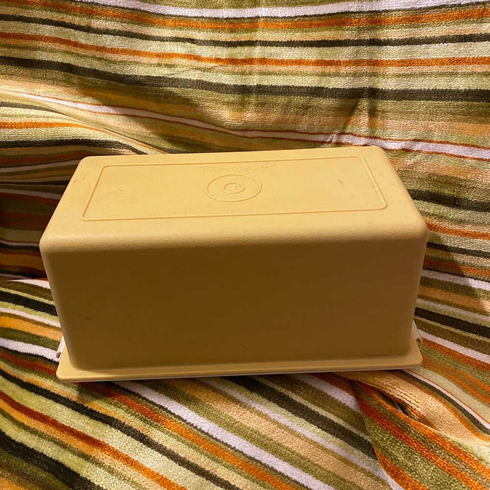 Vintage Tupperware butter keeper